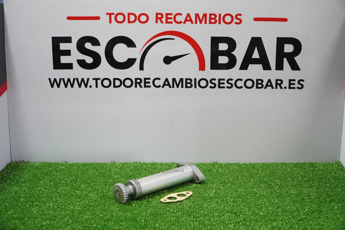 CONJUNTO BOMBA DE CEBADO DE COMBUSTIBLE