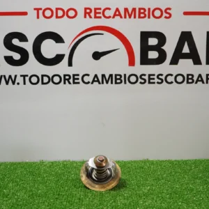 TERMOSTATO PARA EXCAVADORA