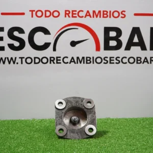 MUÑÓN DE DIRECCIÓN
